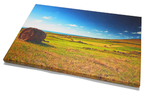 celkový pohled na lakované plátno 